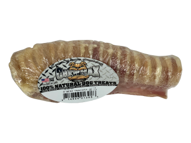 6" Beef Trachea Bone