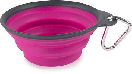 DEXAS Collapsible Travel Cup 1 (Option: cup Fuchsia)